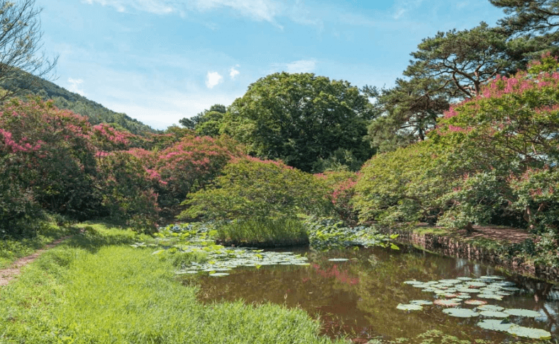 담양 가볼만한곳 베스트10