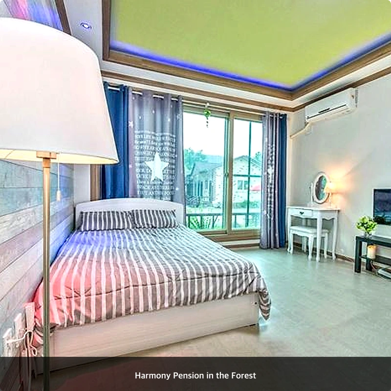 Harmony Pension in the Forest_2