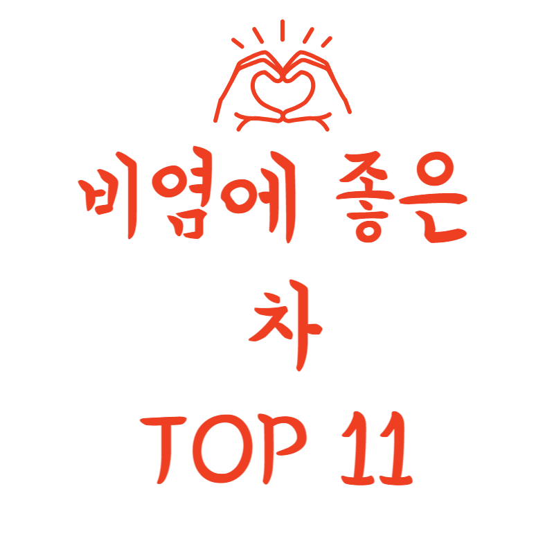 비염에 좋은 차 TOP 11 총정리