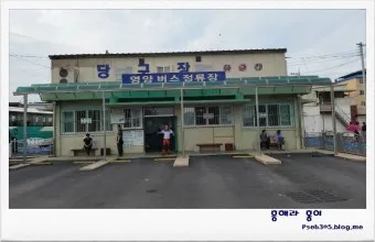 영양 시외버스터미널 시간표 예매 요금_2