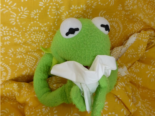 비염 주요 증상 체크