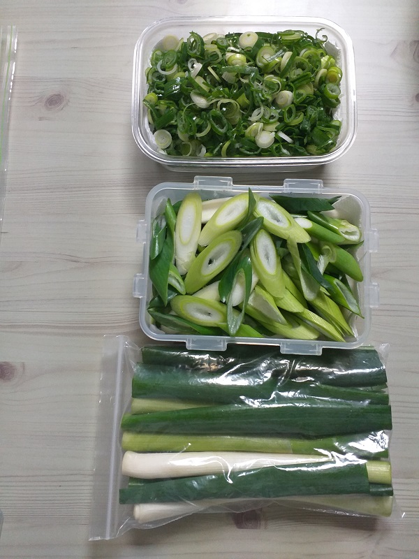 대파보관법