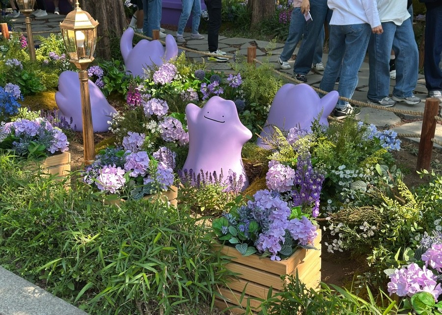 메타몽 프로젝트 : 메타몽 가든