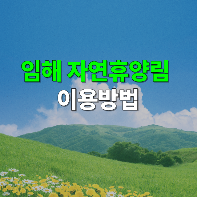 임해자연휴양림 100% 즐기기예약부터 맛집, 주차, 주변 명소까지 똑똑한 여행 준비