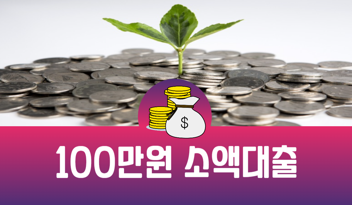 100만원 소액대출