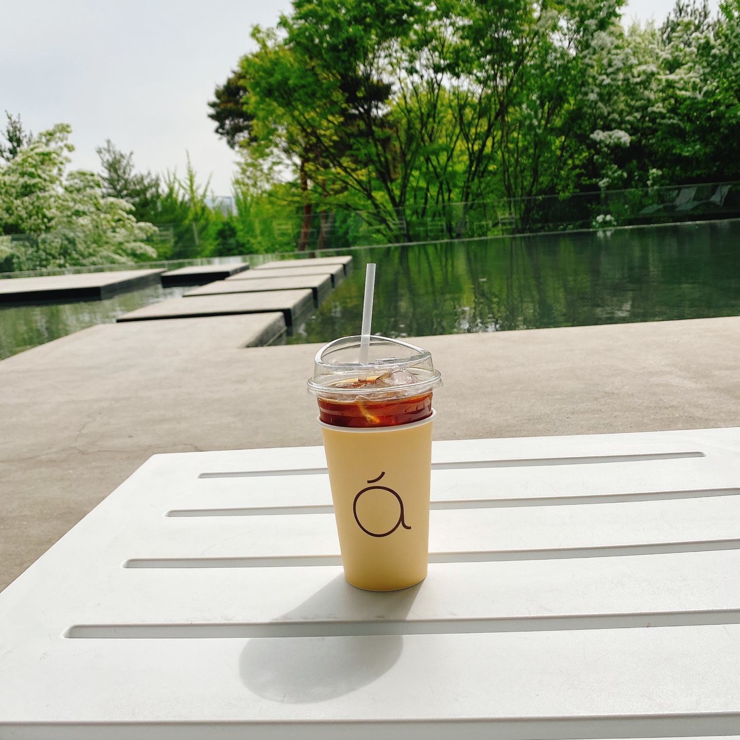 대전 대형베이커리 카페 크로넛 유성공원 에이트 aight