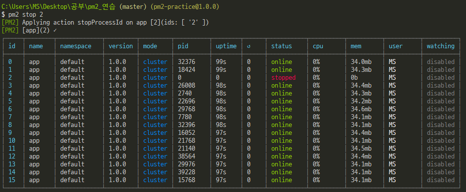 nodejs-pm2