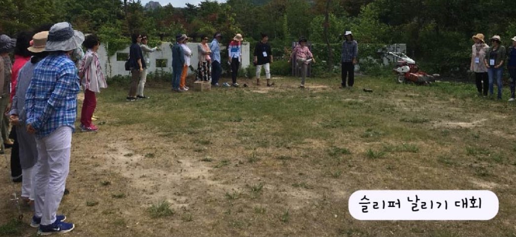 슬리퍼 날리기 대회