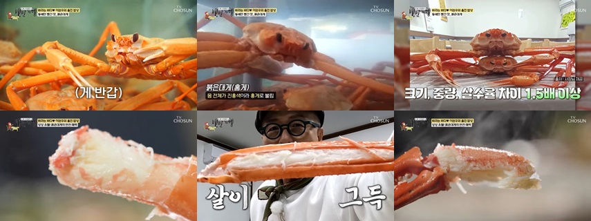 후포시장수산 및 백가네 식당 : 붉은대게의 맛과 바다를 담은 한상