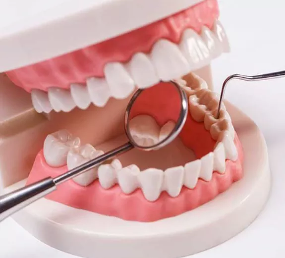 잇몸이-붓고-아플때-이유-해결방법-건강