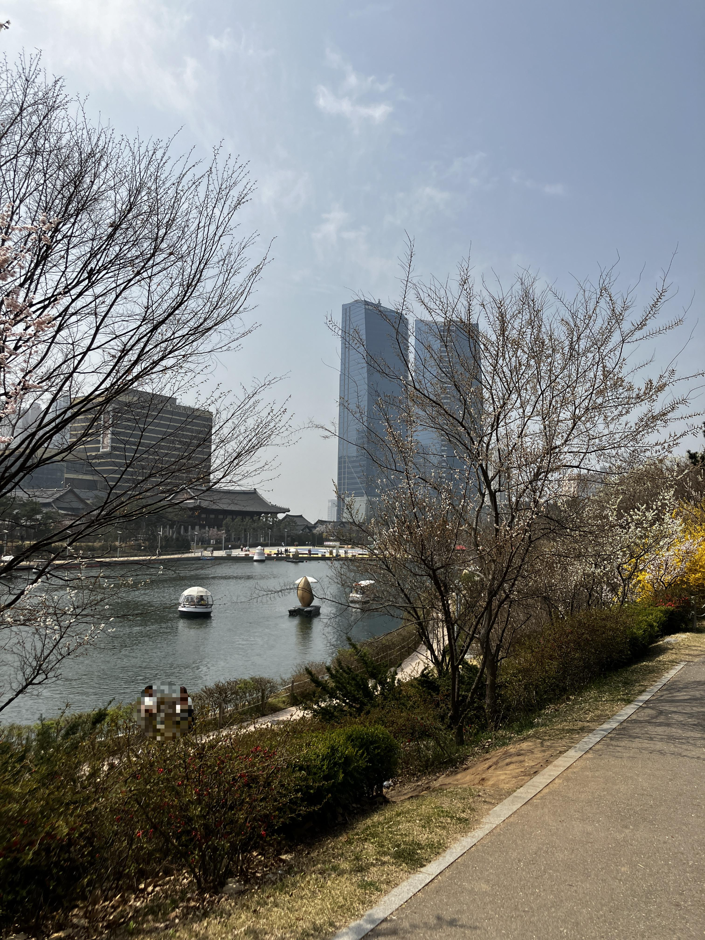 벚꽃구경 송도 센트럴파크 공원