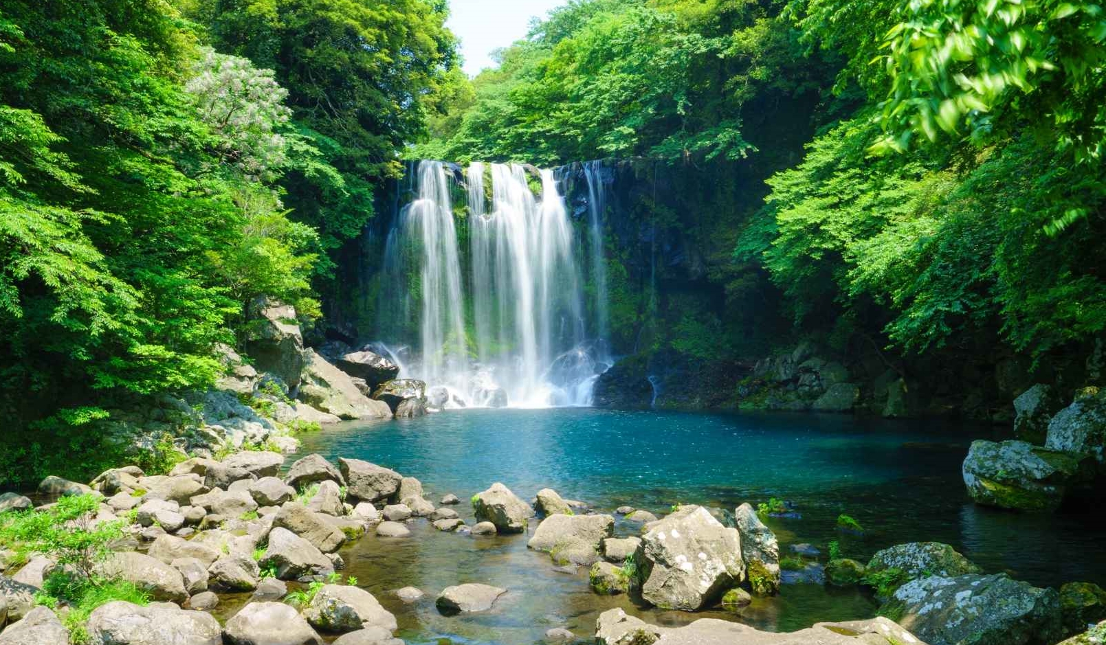 제주 천제연폭포