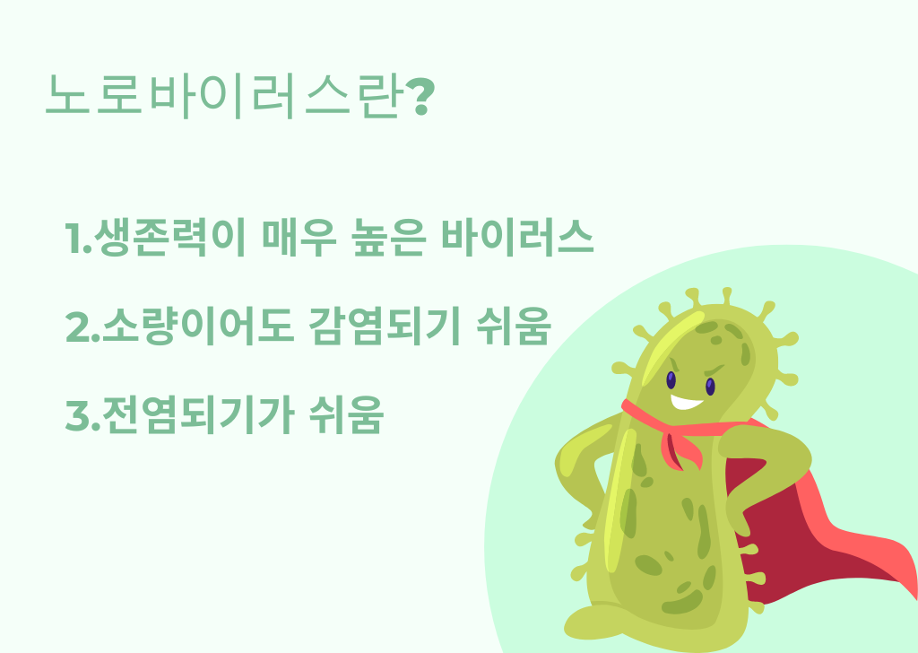 노로바이러스란?