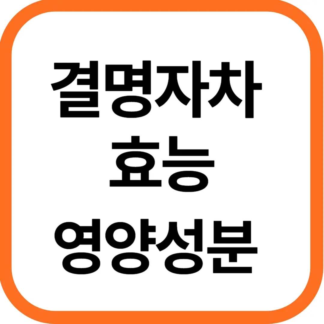 결명자차 효능과 영양성분, 주의점