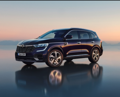 2025년 한국 자동차 판매순위