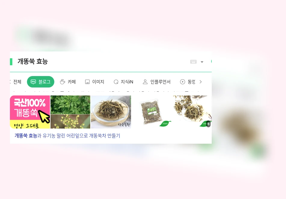 개똥쑥 효능_1_subsection