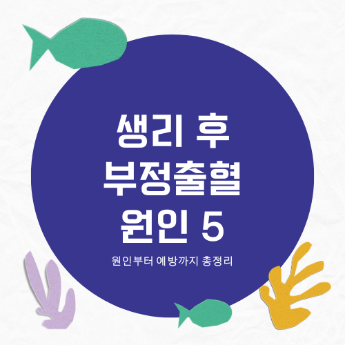 생리 후 부정출혈 원인 5가지 ❘ 원인부터 예방까지 총정리