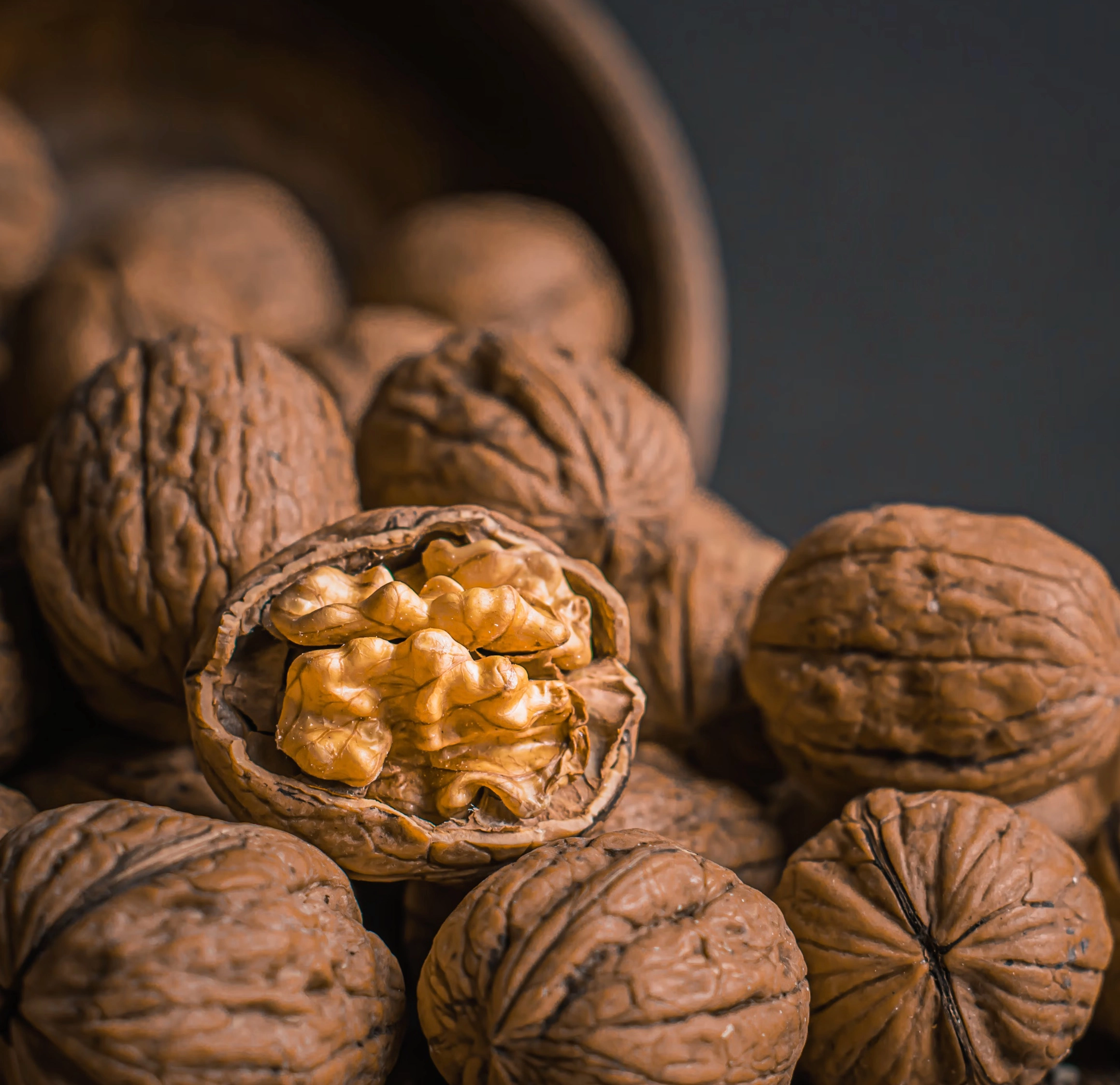 피칸 호두 차이