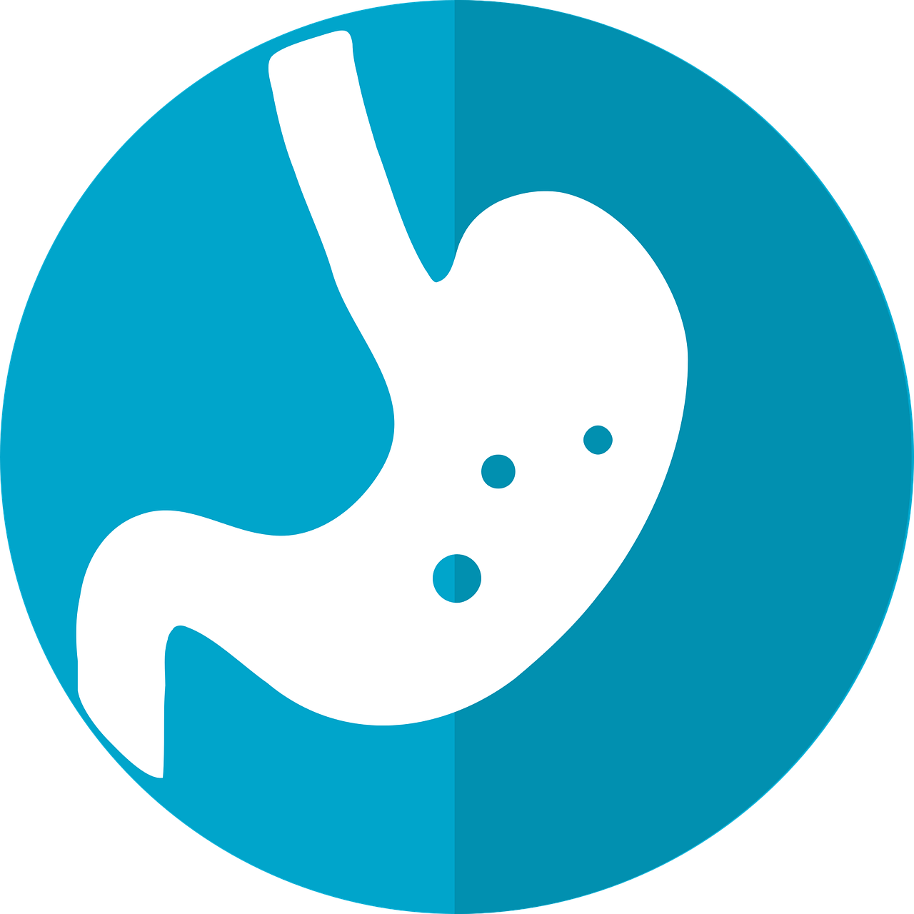 위장 질환 (Gastroesophageal Reflux Disease, GERD)