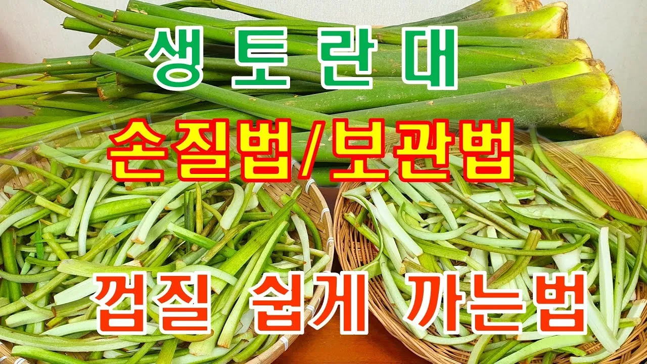 토란대 손질방법 말리는 방법을 정리_4