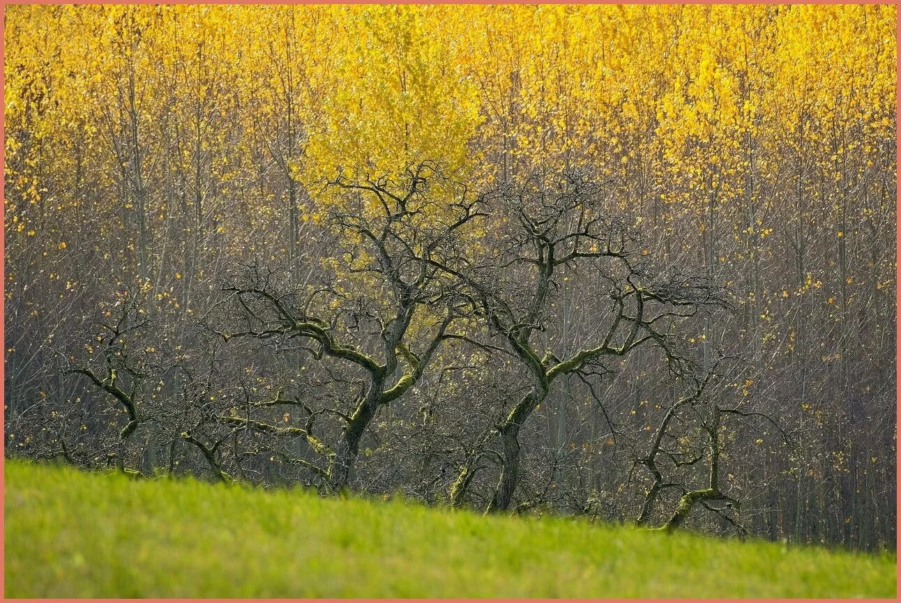 새마을금고 예금금리