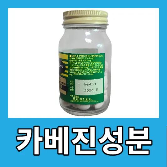 소화 불량 카베진 성분 효능 카베진 복용법 부작용 가격 일본 소화제
