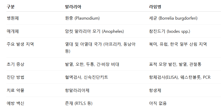말라리아와 라임병 차이