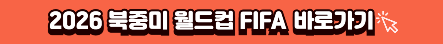 FIFA 배너