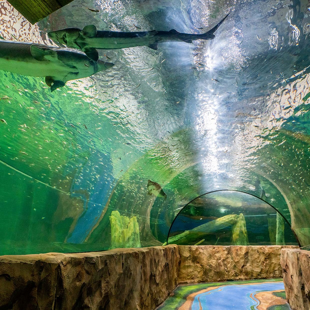 경기도 실내 아이와 갈만한 곳 TOP 5