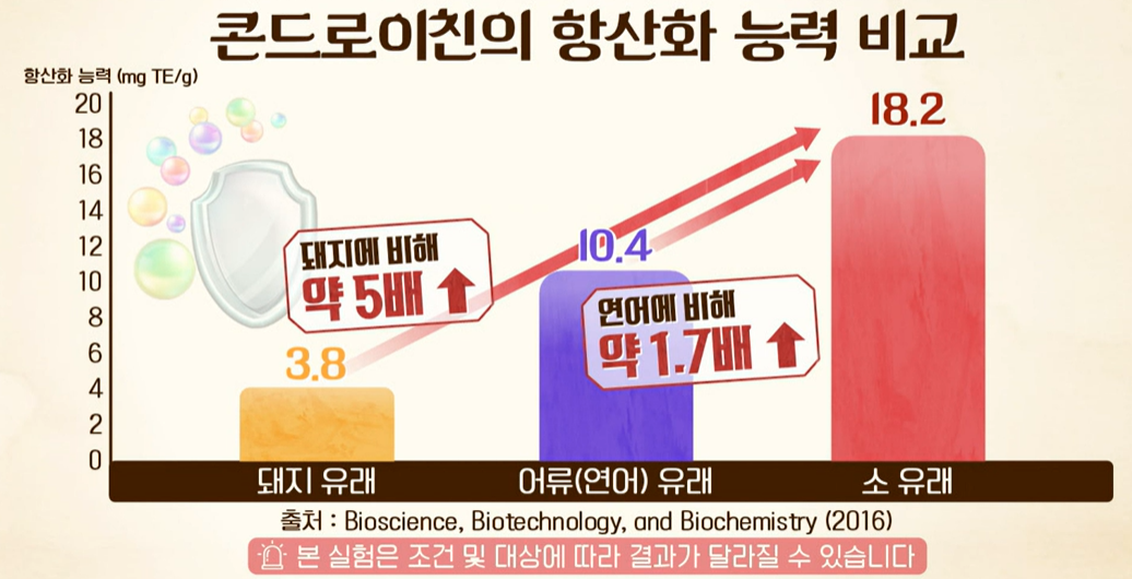 콘드로이친 효능