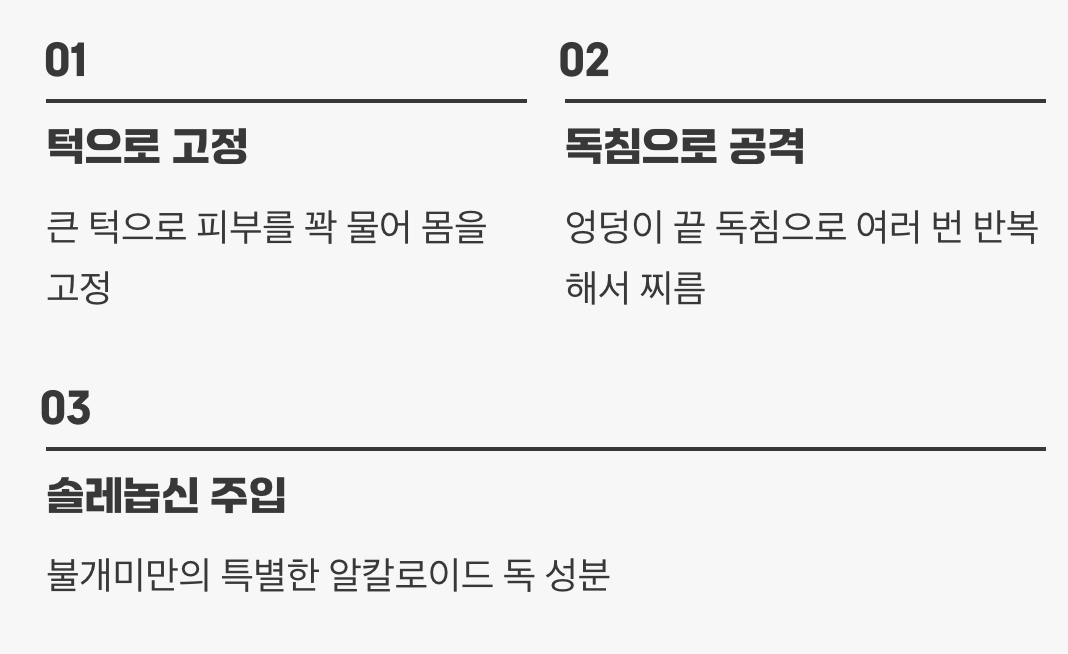 '무는' 것이 아니라 '쏘는' 것