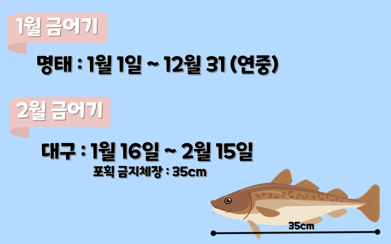 금어기 1