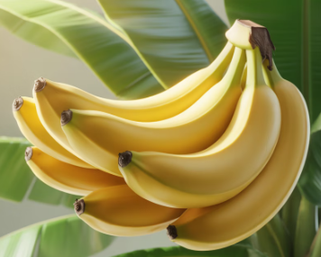 바나나 효능