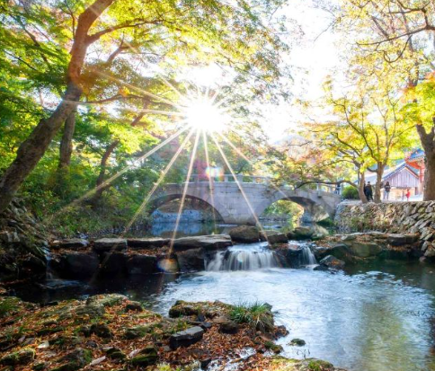 전북 선운사 도솔계곡 &mdash; 사찰 옆의 한적함과 자연의 만남