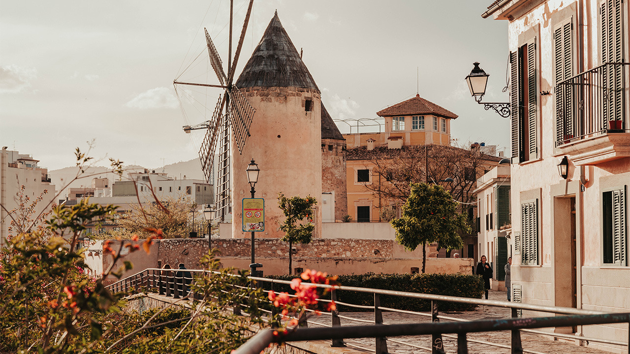 마요르카여행 관련사진