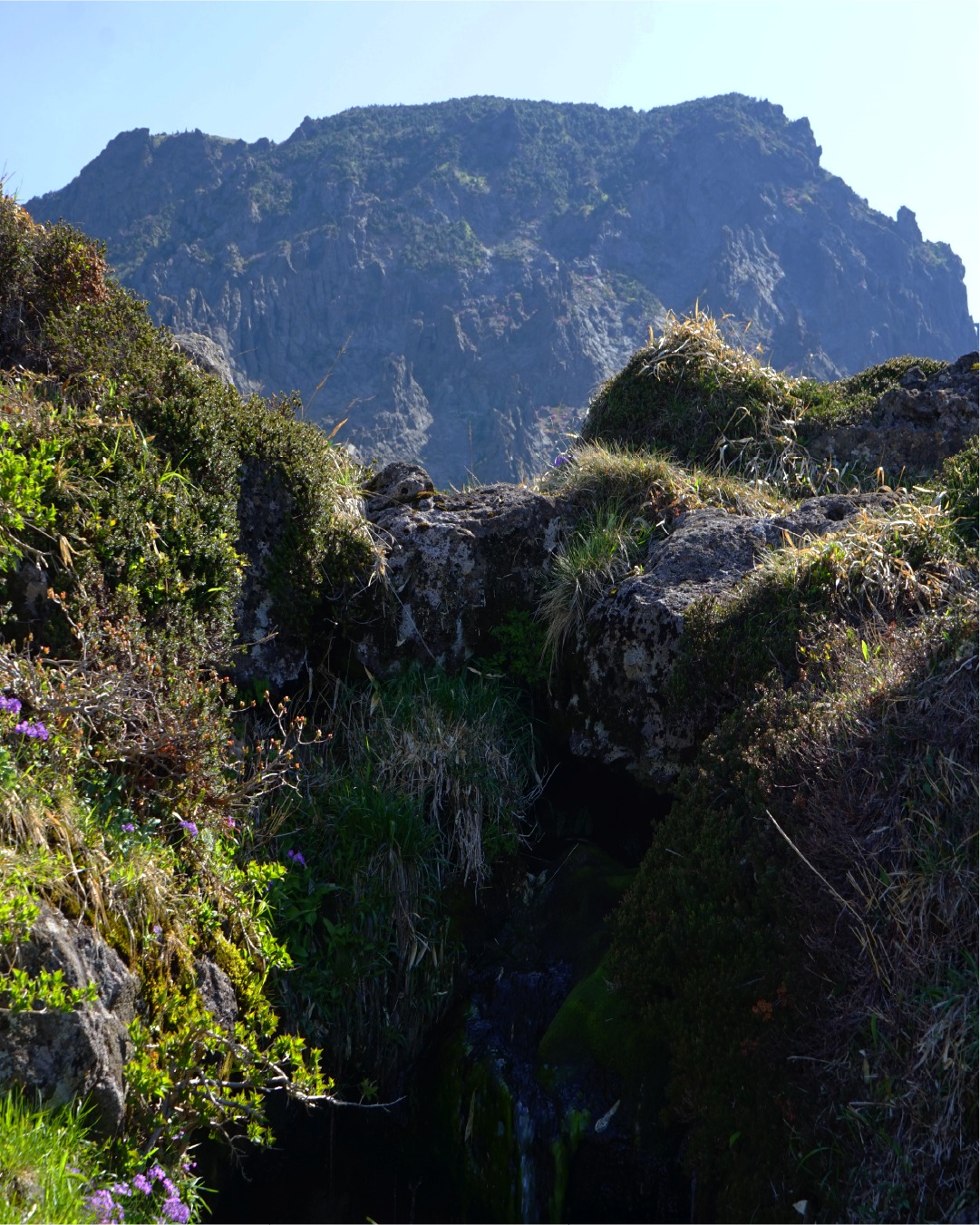 한라산 백록샘 최초 민간 개방 탐방 예약
