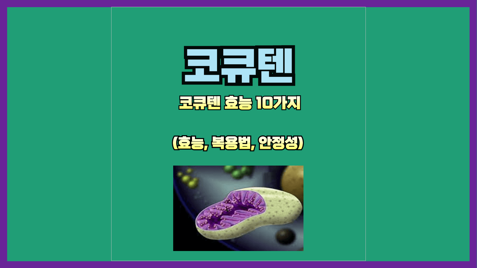 코큐텐 효능 10가지: 젊음의 비결을 손에 넣으세요!(효능&#44; 복용법&#44; 안정성)