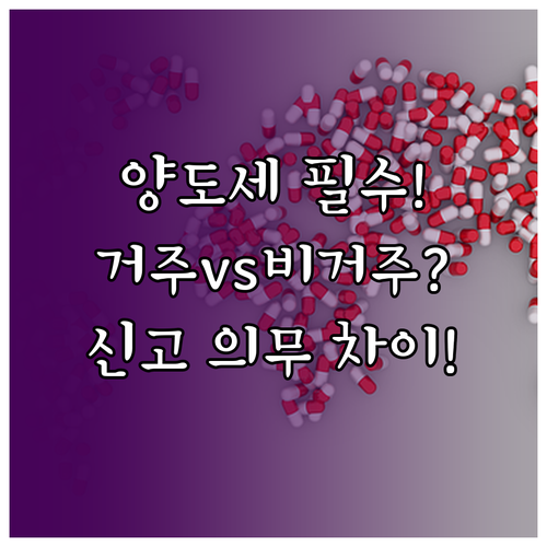 주식 양도소득세 납세 지위 확인 거주..