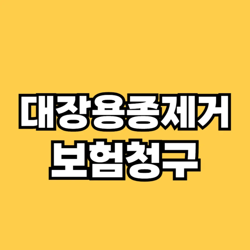 대장용종제거 보험