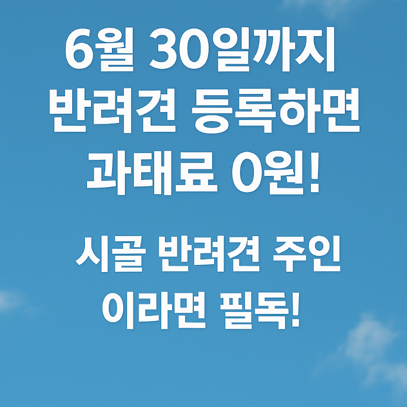 6월 30일까지 반려견 등록하면 과태료 0원! 시골 반려견 주인이라면 필독!
