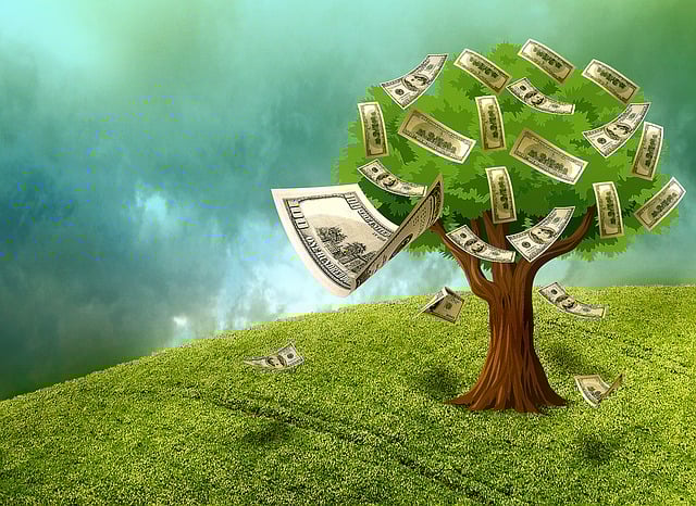 2025년 5월 공모주 청약일정 바로보기