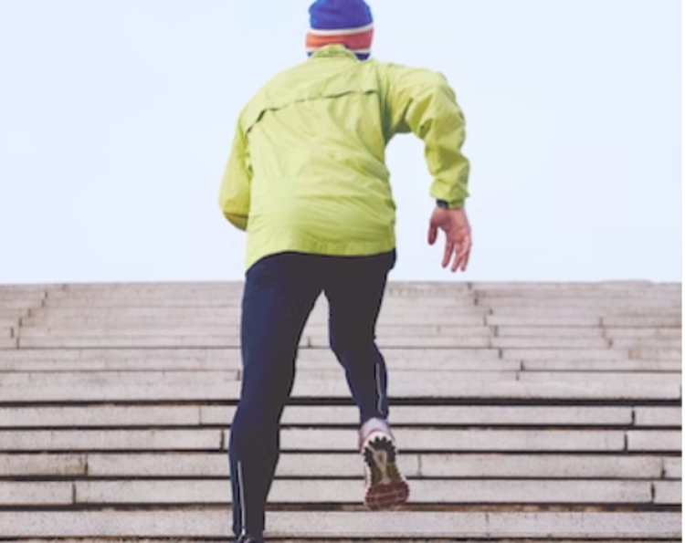 장어 효능 칼로리