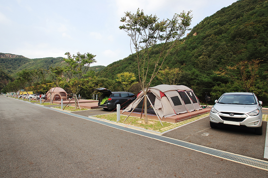 산꽃벚꽃캠핑장 ❘ 금산군 벚꽃 명소에서 즐기는 감성 캠핑