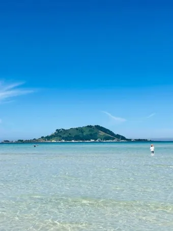 제주 여행 필수 코스 우도 배시간표 요금 예약 방법_26