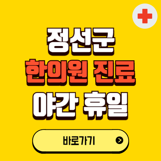 정선군 야간 휴일 한의원 한방병원 찾기 ❘ 24시 일요일 주말 연휴 응급진료 추천 잘하는 곳