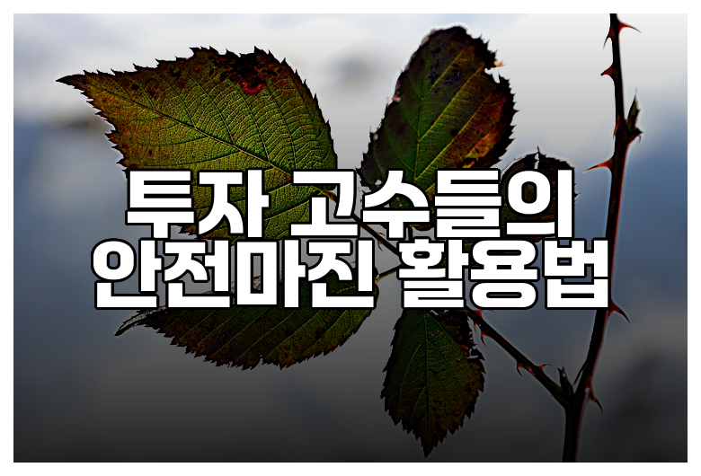 투자 고수들의 안전마진 활용법
