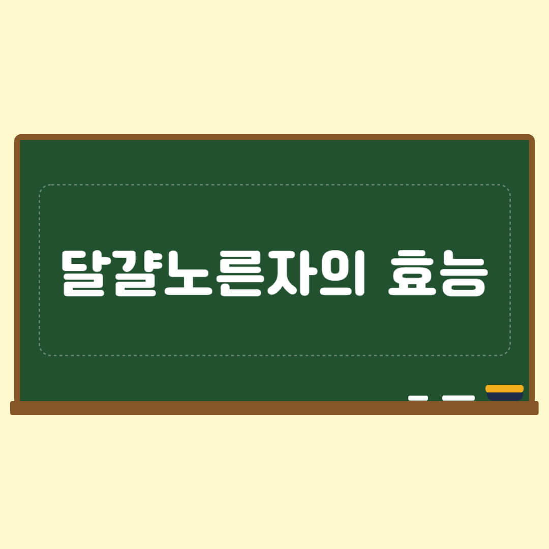 달걀노른자의 효능