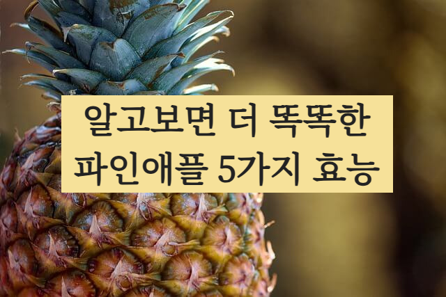 파인애플 효능