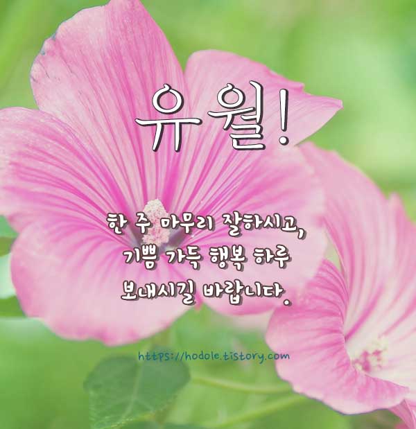 유월