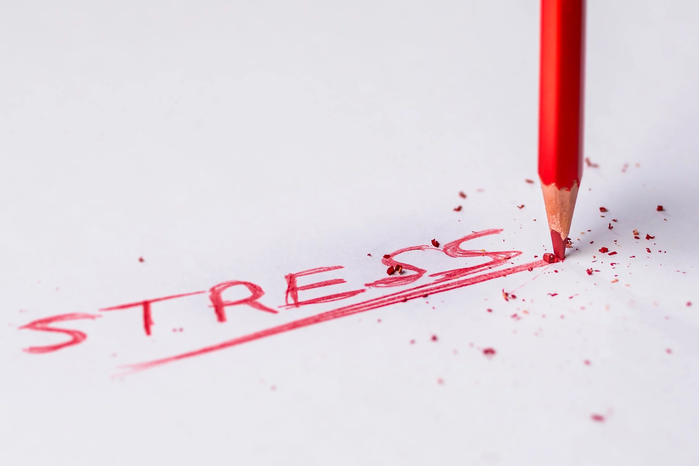 흰 종이에 빨간색 연필로 stress라고 쓰여있다.